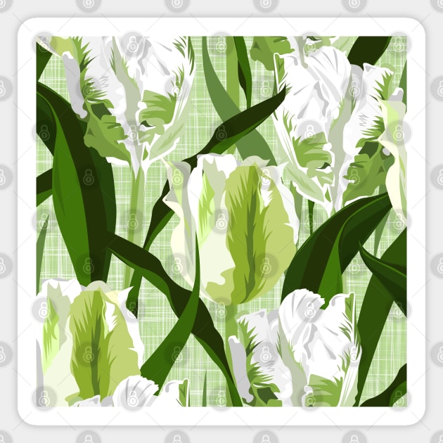 Large white / green parrot tulips on linen texture Sticker by kobyakov